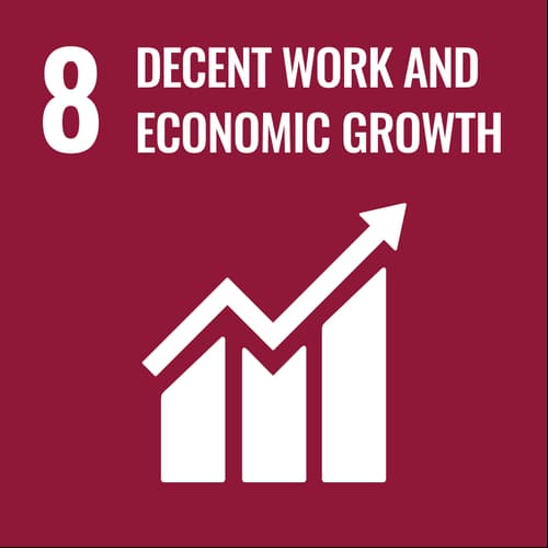 UN Sustainable Development Goal 8: Decent work and economic growth
